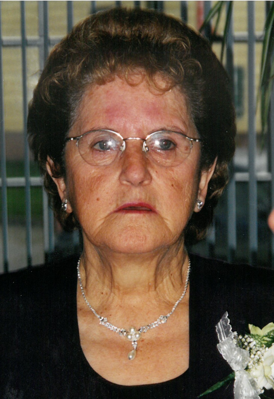 Patricia Vaillancourt Lareau
