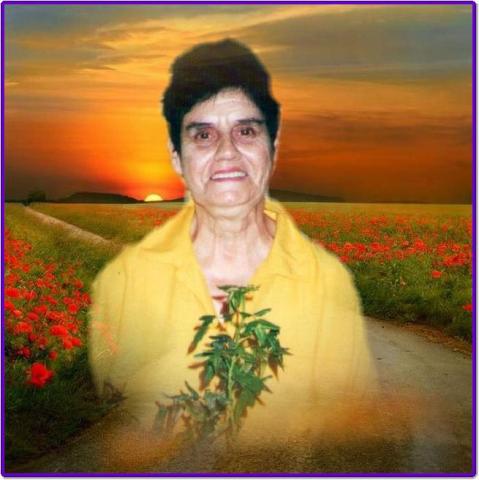 Marie-Claire Boisvert