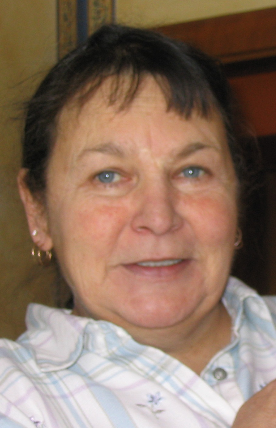 Dianne Vandandaigue