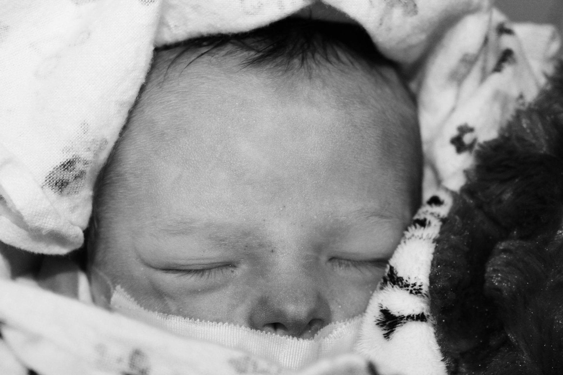 Charles-Olivier Blais