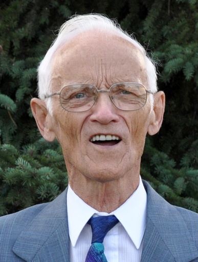 Dominique D'Amours