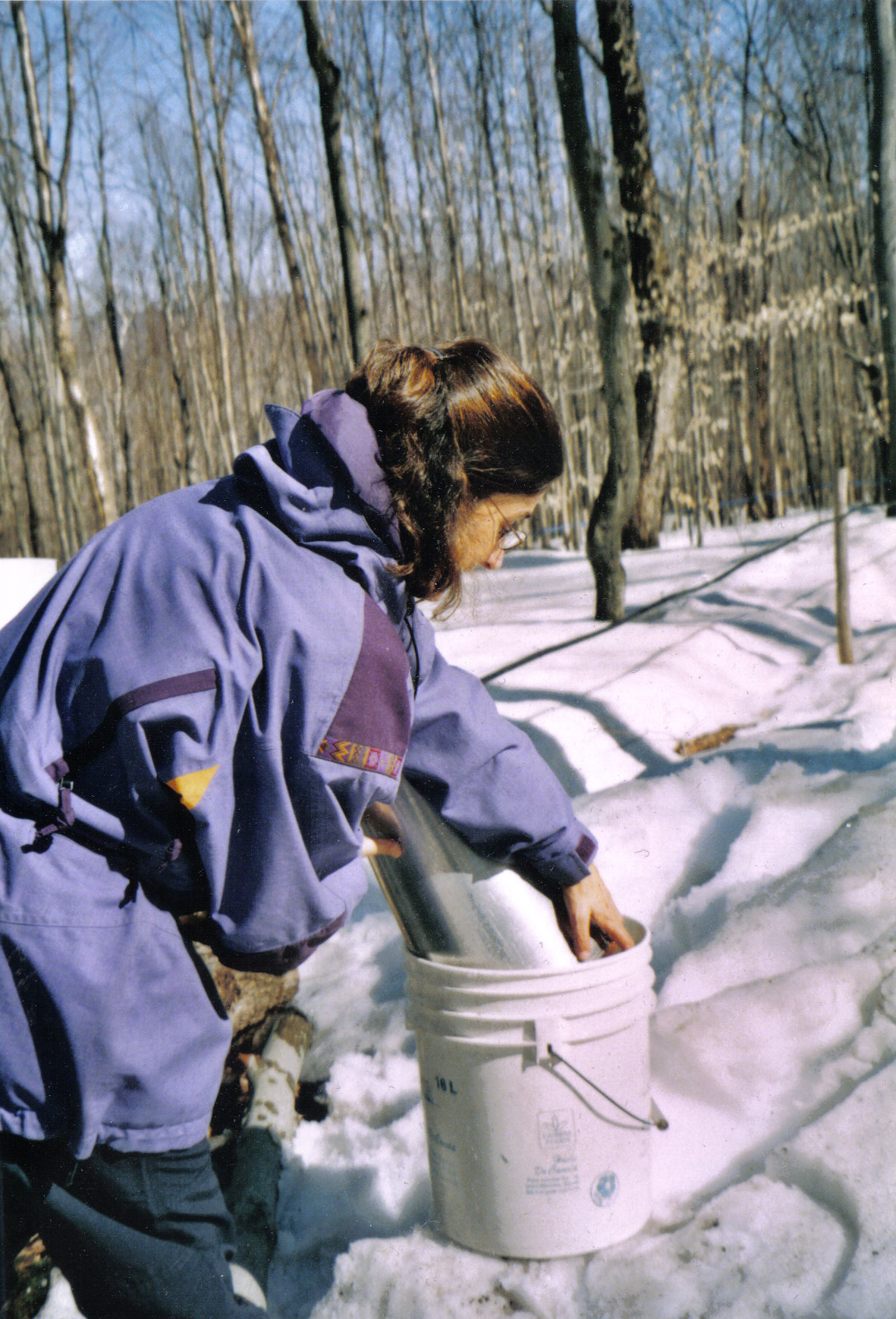 Lynn Moreau