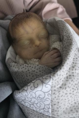 Lily Smith