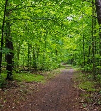 Marguerite Belec (née Reid)