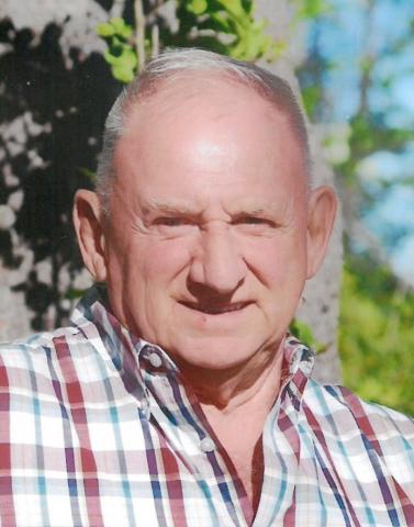 Réal Robitaille