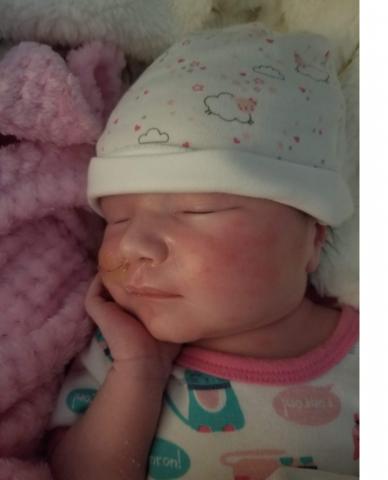 Maggie Lebrun Lefebvre