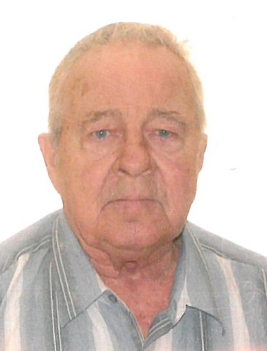 Maurice Robidas