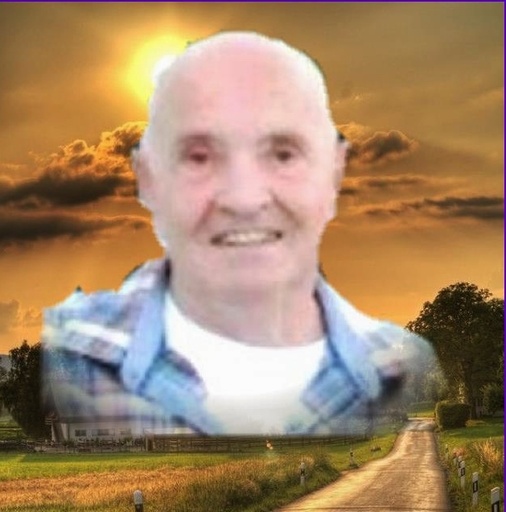 Guy Paradis