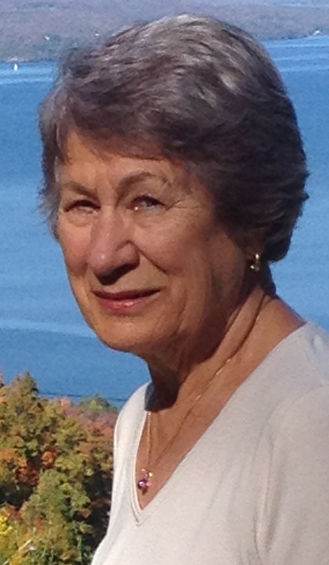 Denise Bolduc Robert