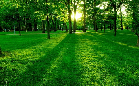 Arthur Wade Wood