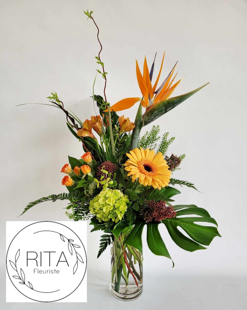 La simplicité de l'oiseau