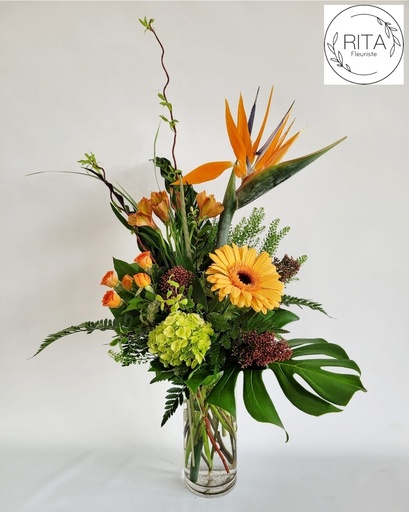 La simplicité de l'oiseau