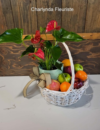 Panier plante et fruits