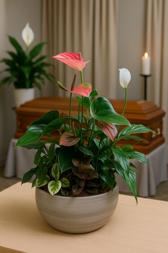 Jardin prestige