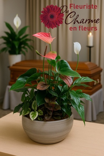 Jardin prestige