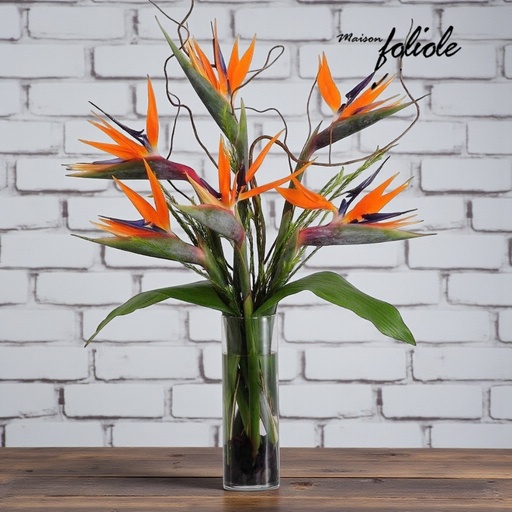 Envol vers le paradis